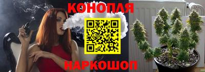 spice Ирбит