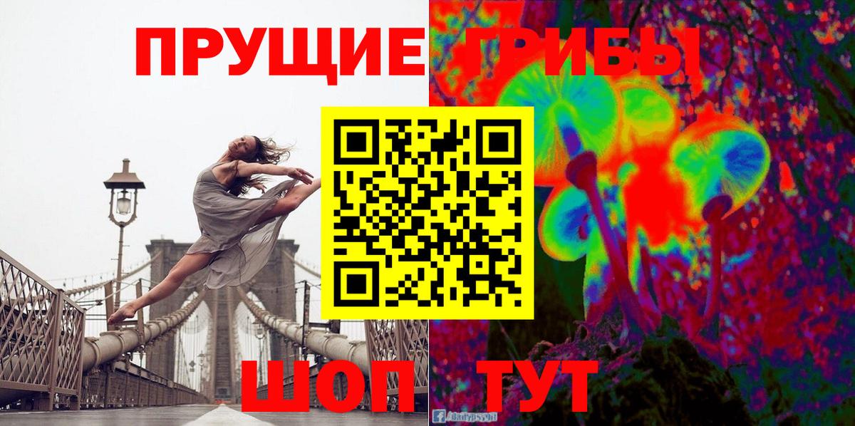 Псилоцибиновые грибы прущие грибы  Вход с VPN  сколько стоит  Лесосибирск 